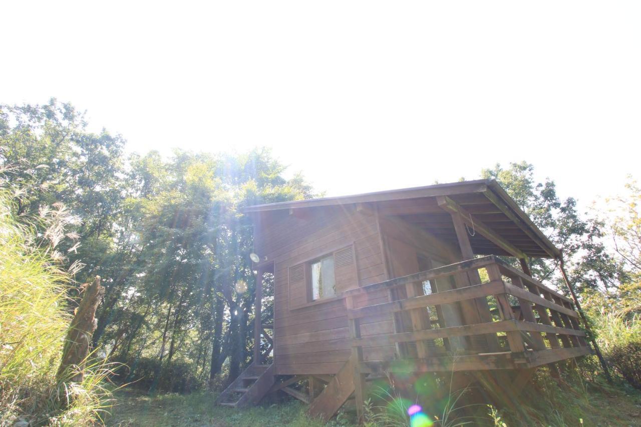 Gokase Campsite Camping And Guesthouse Dış mekan fotoğraf